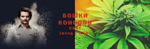 шишки Михайловка
