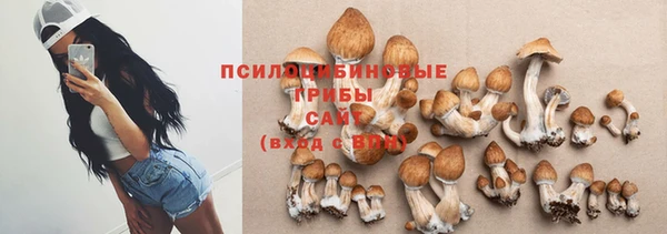 шишки Михайловка