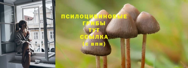 метадон Мегион