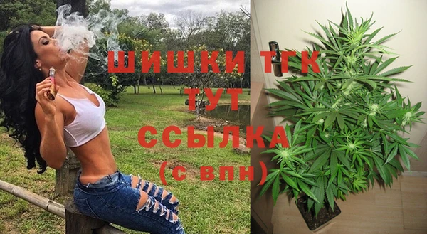 шишки Михайловка