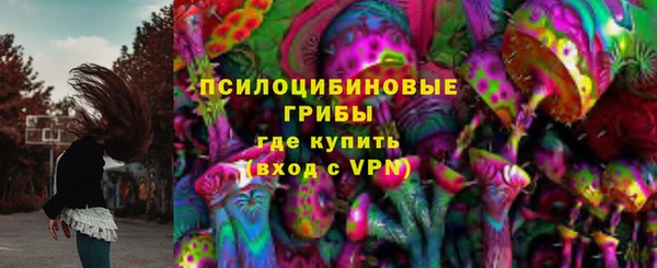 шишки Михайловка