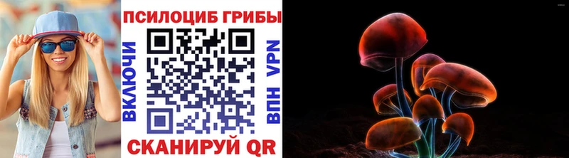 МЕГА рабочий сайт  Устюжна  Галлюциногенные грибы Magic Shrooms 