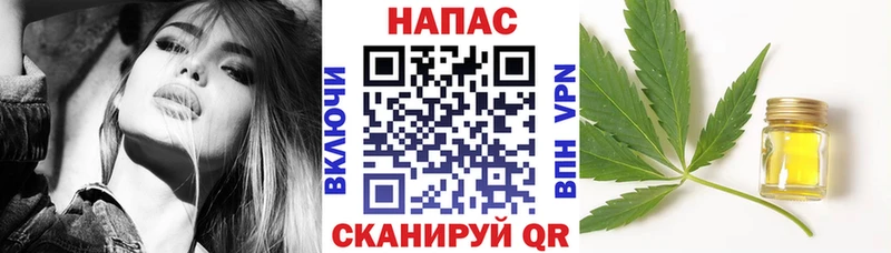 сколько стоит  Устюжна  Каннабис сатива 